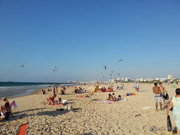 sea-kites.jpg